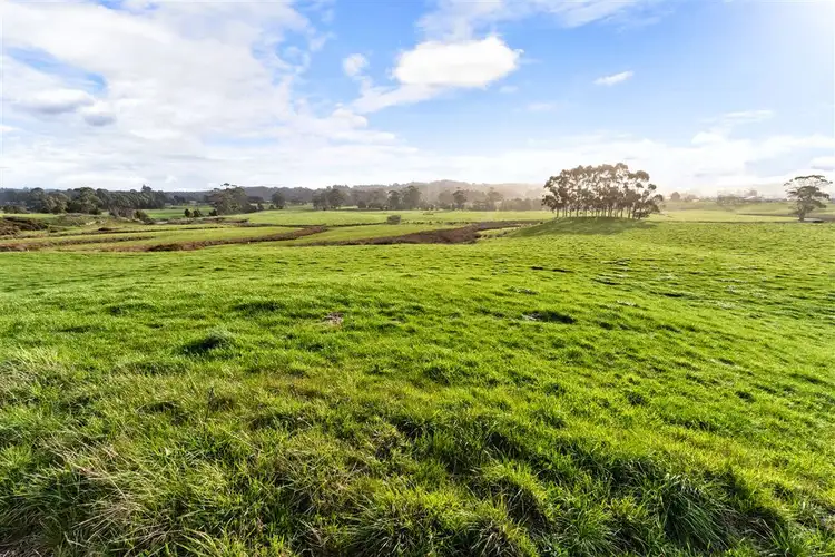 Second view of Homely rural property listing, 153 Preolenna Road, Flowerdale TAS 7325