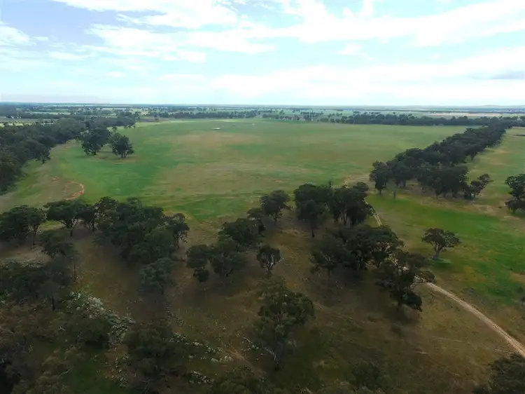 Sixth view of Homely rural property listing, 413 BROWNES LANE, Axedale VIC 3551