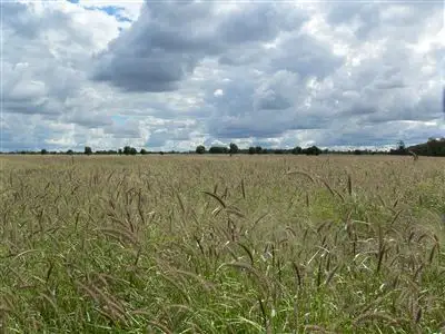 Main view of Homely rural property listing, . "Boolara", Meandarra QLD 4422