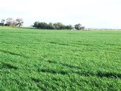 Fifth view of Homely rural property listing, Address available on request