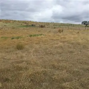 Sixth view of Homely rural property listing, 13 Groves Road, Gladstone TAS 7264