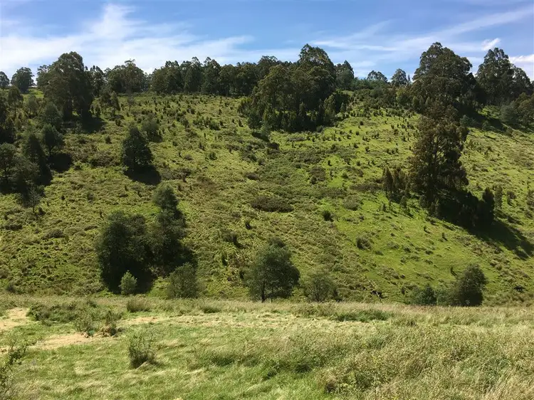 Third view of Homely land listing, 460 Forsters Rivulet Road, Lymington TAS 7109