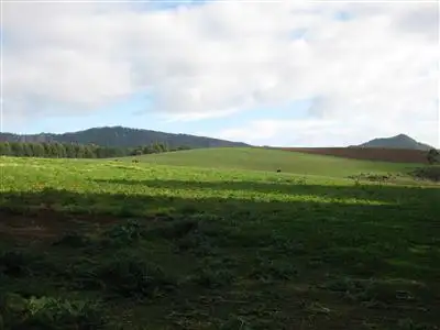 Fourth view of Homely rural property listing, 426 Preston Road, North Motton TAS 7315