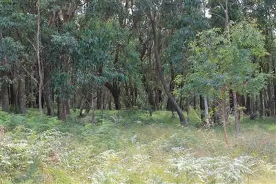 Seventh view of Homely rural property listing, 12 Bluebells Road, Braidwood NSW 2622