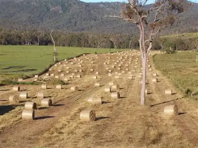 Second view of Homely rural property listing, 0 Blue Mountain Rd, Nebo QLD 4742