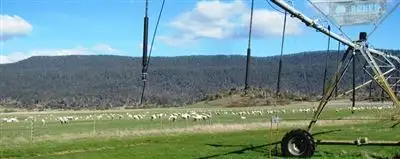 Fifth view of Homely rural property listing, 6013 Esk Main Road, Fingal TAS 7214