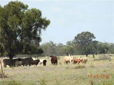 Fifth view of Homely rural property listing, Address available on request