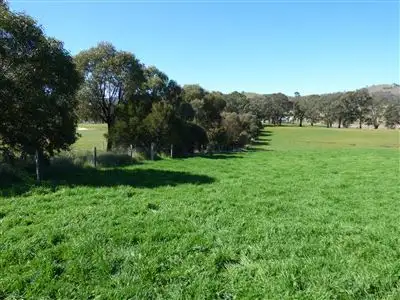 Third view of Homely rural property listing, 207 Boatmans Road,, Glenlofty VIC 3469