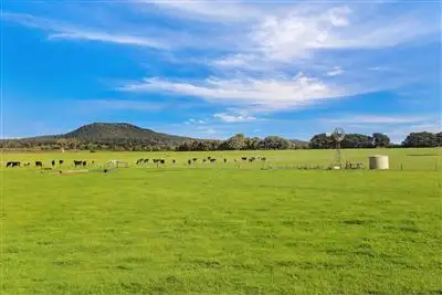 Fifth view of Homely rural property listing, 1501 Mt. Napier Road, Buckley Swamp VIC 3301