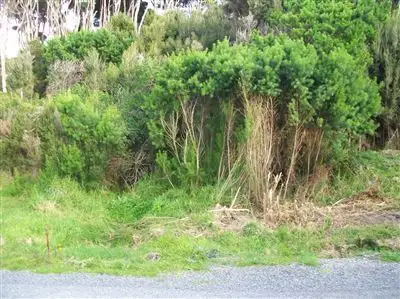 Third view of Homely land listing, Lot 12 The Esplanade, Naracoopa TAS 7256