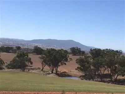 Main view of Homely rural property listing, Section174 Black Swamp Road, Murray Town SA 5481