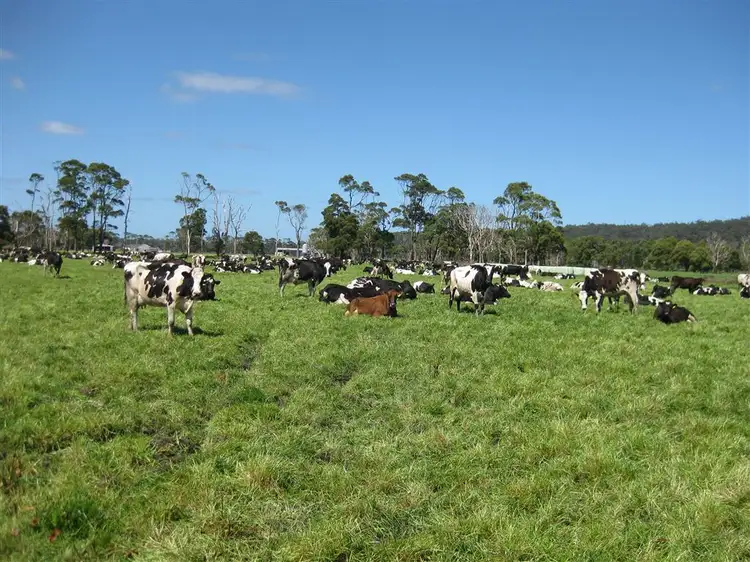 325 Rennison Road, Togari TAS 7330