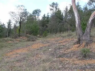 Third view of Homely land listing, Lot 6 Lagoon Street, Walcha NSW 2354