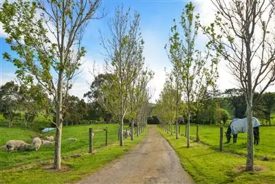 120 Mt Eccles Road, Mount Eccles VIC 3953