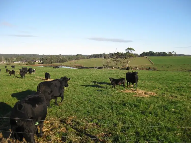 Sixth view of Homely rural property listing, 218 Jocks Road, Forest TAS 7330