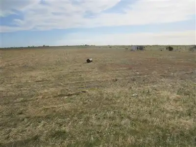Second view of Homely rural property listing, 77 Schlodder Road, Dublin SA