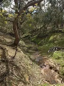 Second view of Homely rural property listing, Lots 30-31 Palarang Road, Merriangaah, Bombala NSW 2632