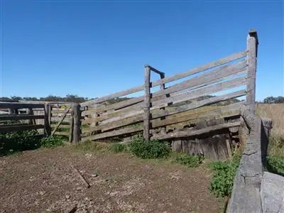 Fifth view of Homely rural property listing, . "The Racecourse" Racecourse Rd, Borambil via, Cassilis NSW 2329