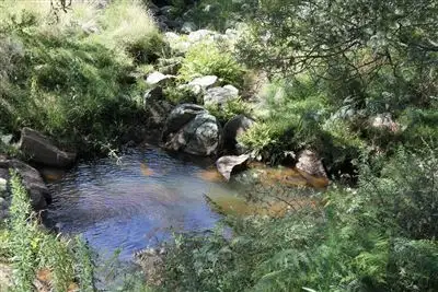 Third view of Homely rural property listing, Lot 5 Araluen Road, Braidwood NSW 2622