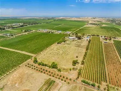 Second view of Homely rural property listing, 646 California Road, Mclaren Vale SA 5171
