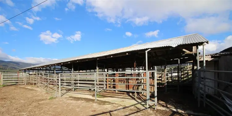 Seventh view of Homely rural property listing, 23 Robinsons Road, Ringarooma TAS 7263