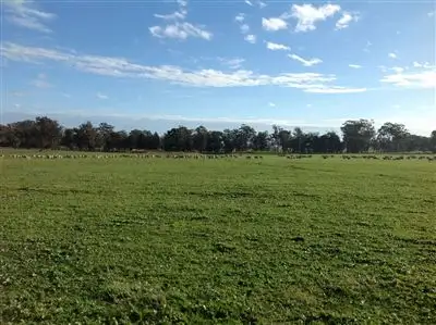 Seventh view of Homely rural property listing, 1585 Savernake Road, Mulwala NSW 2647