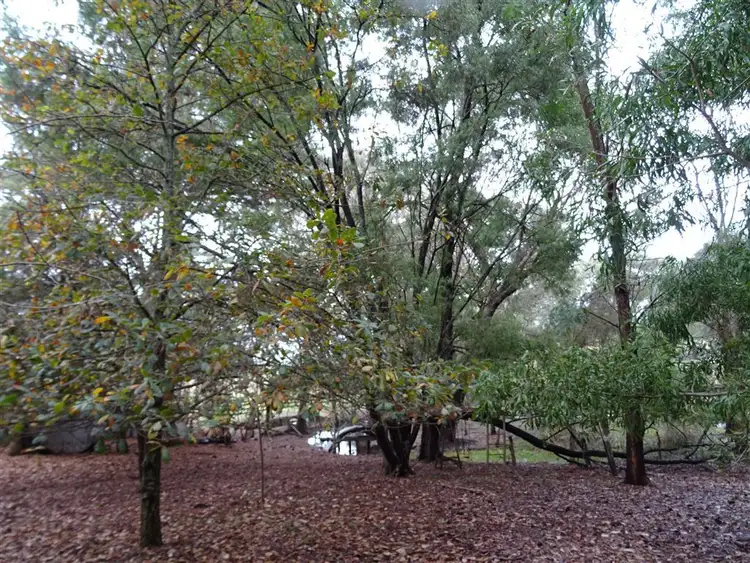 Sixth view of Homely rural property listing, 523 Balbarrup Road, Manjimup WA 6258