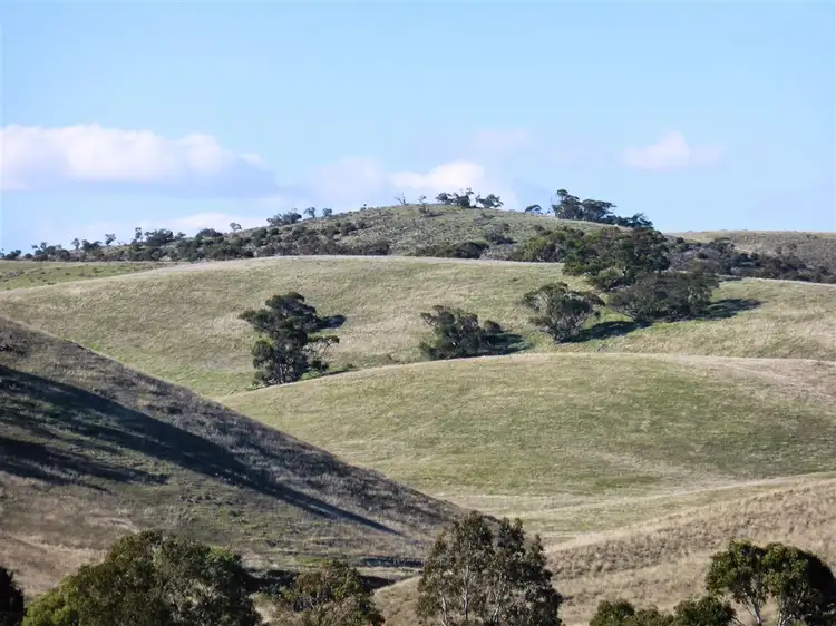 Second view of Homely rural property listing, 40 Sandstone Road, Spalding SA 5454