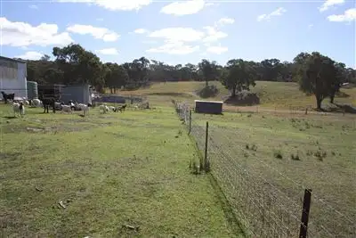 Seventh view of Homely rural property listing, 282 Triamble Road, Hargraves, Mudgee NSW 2850