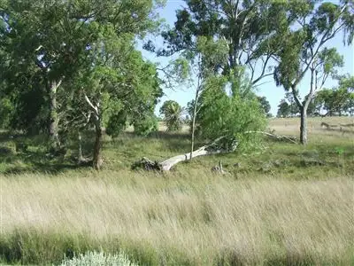 Seventh view of Homely rural property listing, Lot 10 Rockdale Road, Karara QLD 4352