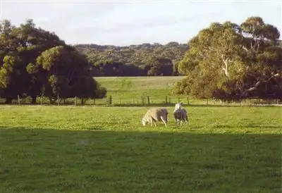 Second view of Homely rural property listing, 14 East West Two Highway, Parndana SA 5220