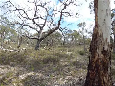 Seventh view of Homely rural property listing, Lot 9 John McPhees Drive, Toolondo, Horsham VIC 3400