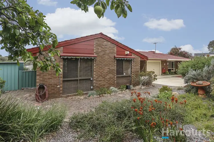 Second view of Homely semi-detached listing, 3A Oliver Court, Kardinya WA 6163