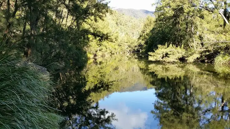 Third view of Homely rural property listing, 4273 Araluen Road Merricumbene, Araluen NSW 2622