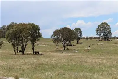 Woorarra Bundarra Road, Barraba NSW 2347