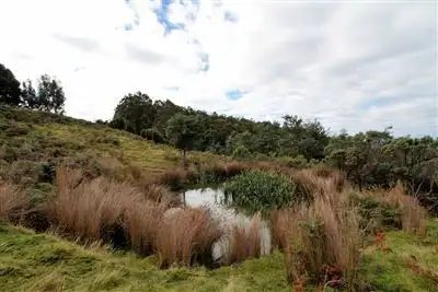 Sixth view of Homely land listing, 382 Saddle Road, Kettering TAS 7155