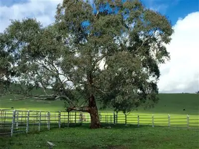 Main view of Homely rural property listing, 3492 Yea Whittlesea Road, Flowerdale VIC 3717