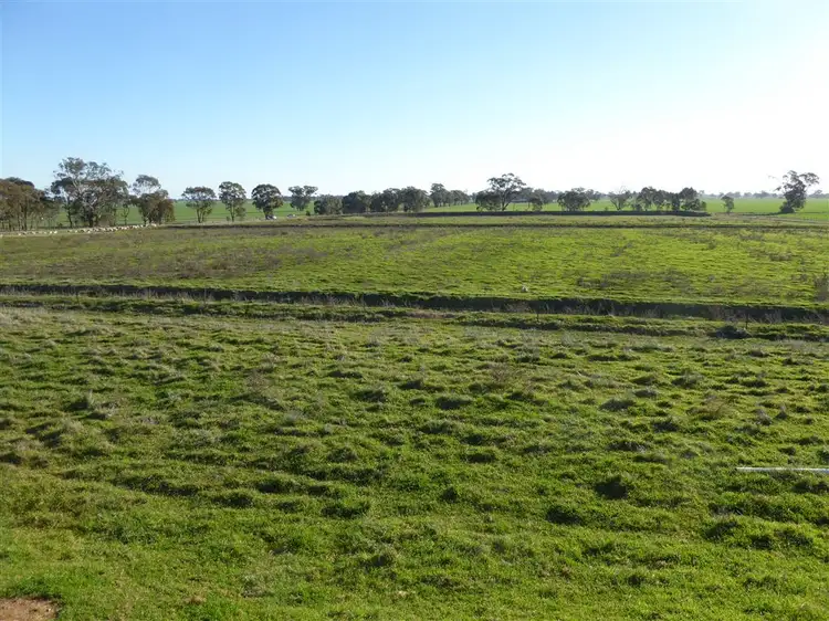Third view of Homely rural property listing, 43 Hicks Road, Yarrawonga VIC 3730