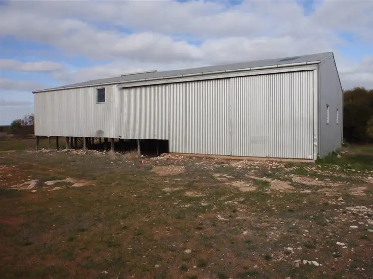 Main view of Homely rural property listing, 4186 Pt Kenny Road, Minnipa SA 5654