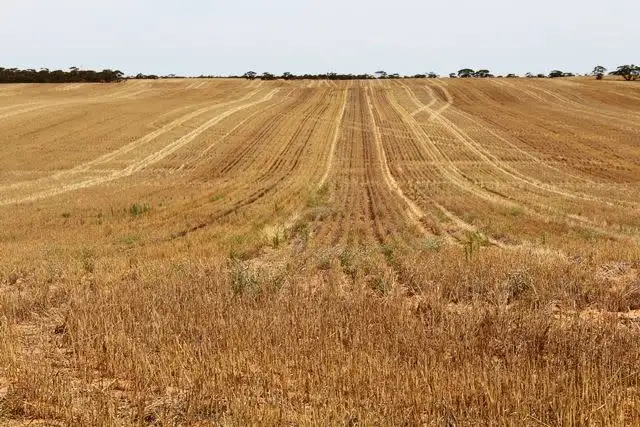 Second view of Homely rural property listing, . John Road, Walpeup VIC 3507