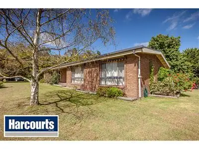 Third view of Homely rural property listing, 51 Beards Track, Shady Creek VIC 3821
