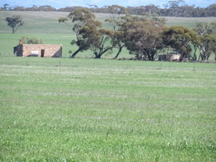 Sixth view of Homely rural property listing, Lot 37M Whim Road, Booleroo Centre SA 5482