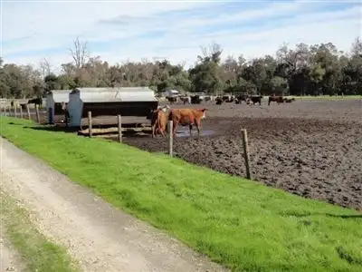 Seventh view of Homely rural property listing, Address available on request