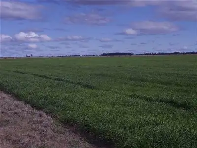 Sixth view of Homely rural property listing, - Punchs Creek Road, Millmerran QLD 4357