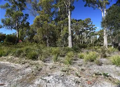 Main view of Homely land listing, 33 Jasmine Drive, Port Sorell TAS 7307