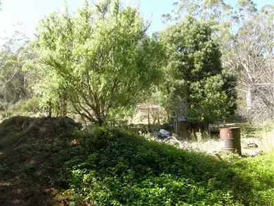 26 Main Street, Pioneer TAS 7264