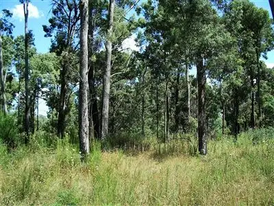 Second view of Homely rural property listing, 97 Lower Tablelelands Road, Benambra VIC 3900