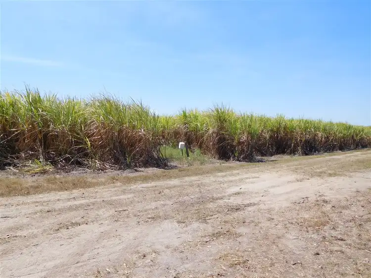 Fourth view of Homely rural property listing, 205 Dunwold-Cattle Creek Road, Mirani QLD 4754