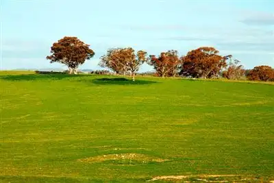 Fifth view of Homely rural property listing, 198 Connells Lane 'Dowan Hill', Yass NSW 2582