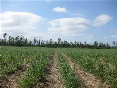 Seventh view of Homely rural property listing, 0 Bilyana Road, Bilyana QLD 4854